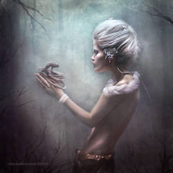 Dragon Tamer