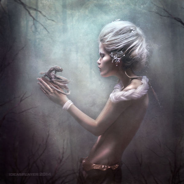 Dragon Tamer by PetyaPlamenova Dragon Tamer by PetyaPlamenova