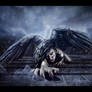 She Who Dared To Dream