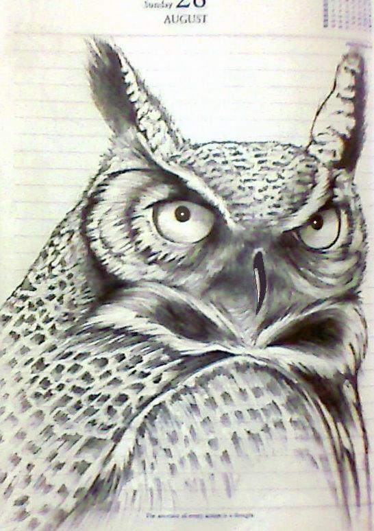 Owl