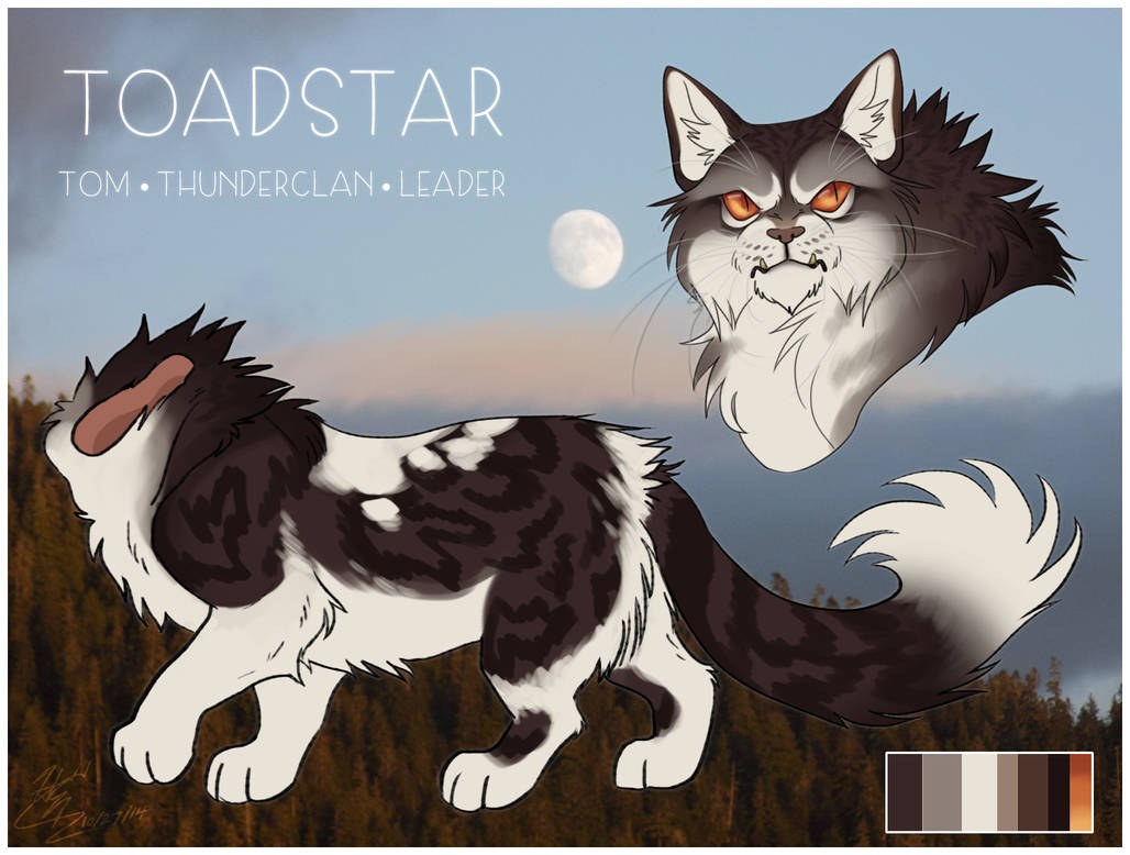 Toadstar Toadstar Ref by boogiepaw on DeviantArt