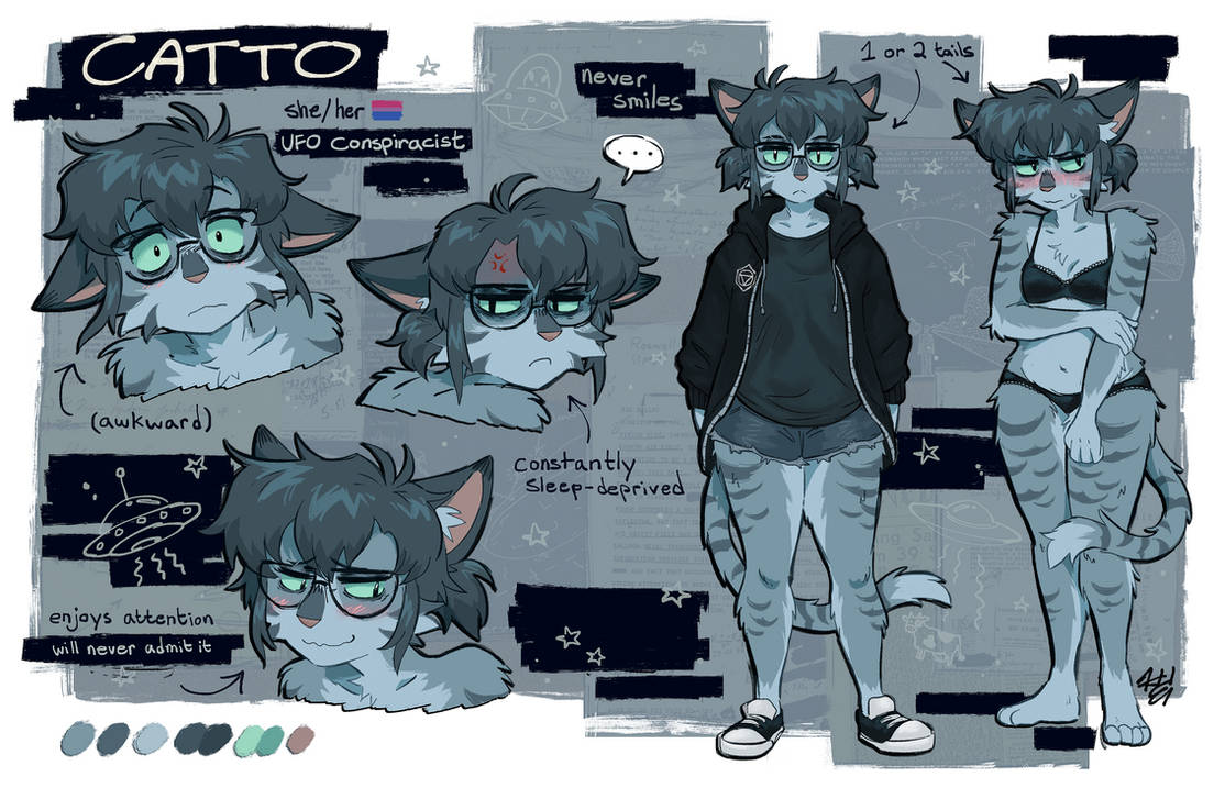 Catto Chart Catto Ref by boogiepaw on DeviantArt