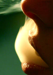 .thank u for smoking