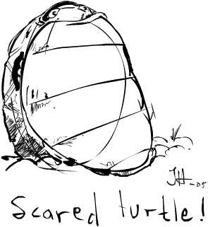 Turtle Getting Scared scared turtle by jhansson on DeviantArt