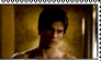 Totally Team Damon Stamp