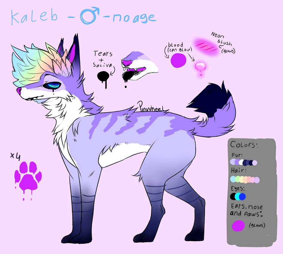 Kaleb Ref Sheet by L-L-arts
