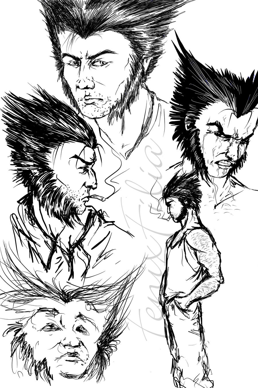 Wolverine sketches