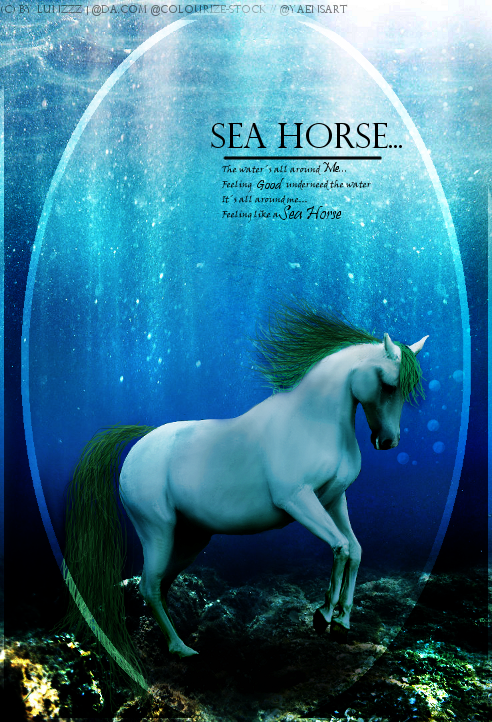 Manip 'Sea Horse'