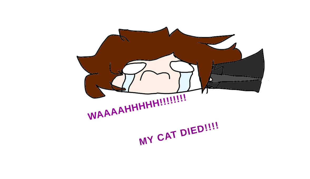MY CAT DIED!!!!!!! I'M SAD WAAAAAA!!!! by Charachu02 on DeviantArt