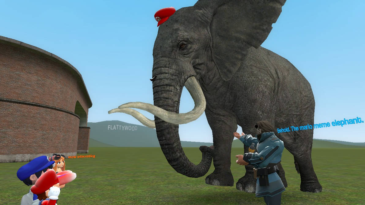 The Mario Elephant Meme By Deadpoolryan2021 On Deviantart The Mario Elephant Meme By Deadpoolryan2021 On Deviantart