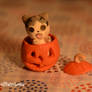 Polymer Clay: Chi in a pumpkin [Chi's Sweet Home]