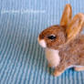 Needle felted baby bunny