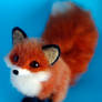 Red fox V
