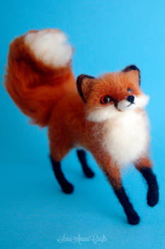 Red fox VI