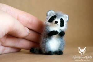 Another miniature raccoon