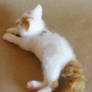 Needle felted cat - back