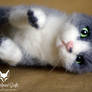 Grey and white needle felted pose-able cat