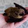 Needle felted brown bat 4