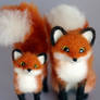 red foxes