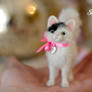 Marshmallow kitty!