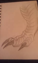 Dragon Foot Sketch