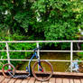Scooter on a Bridge