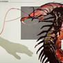 Centipede.