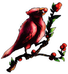 'Christmas Cardinal'