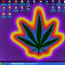 My Desktop - weedbg