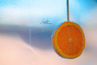 Orange Immersion