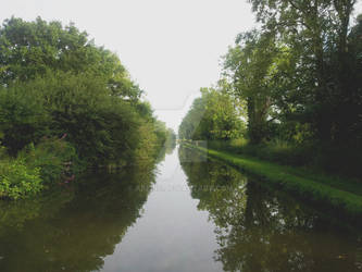 Tree Lined Waterway