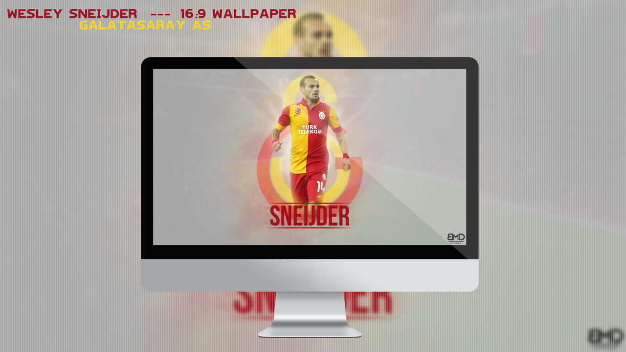 Wesley Sneijder - Galatasaray AS