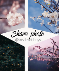 Share photographs