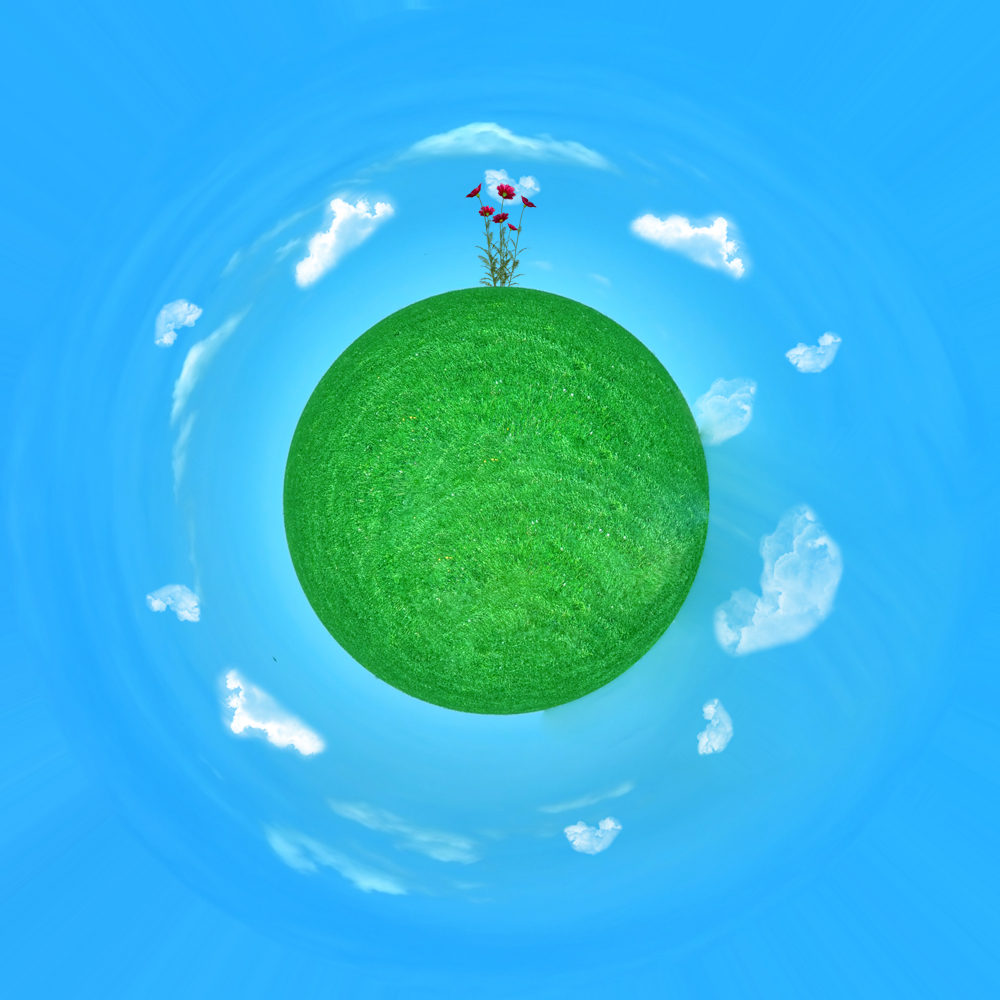 Grass Planet