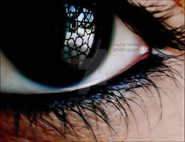 A dream ..
