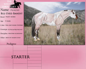 Falkens Blu Eyed Bandit