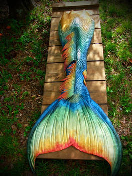 Rainbow Fish Mermaid Tail