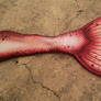 Red Mermaid Tail