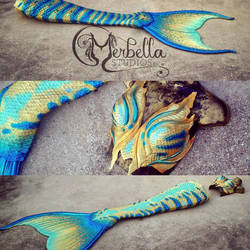 Mermaid Tail details