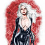 Black Cat Colors (David Lima)