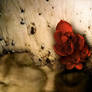 Ammonia