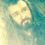 Thorin at Beorn's