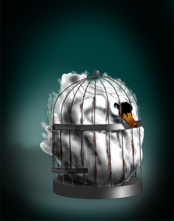 Ugly Duckling ~ Caged Swan