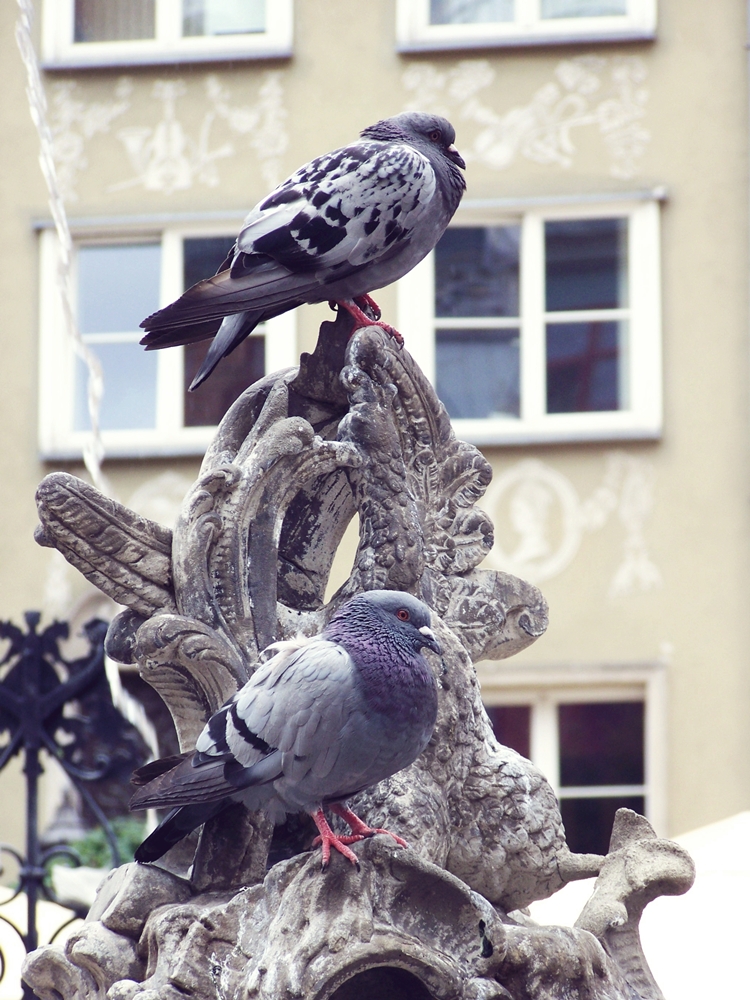 on a fountain.