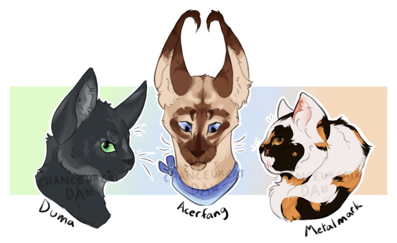 Spoodlee - Hiatus on X: Last set of symmetrical icons for a while! I did  my secondary Warrior Cat OCs. The last one was a commission for a user on  Discord. #warriorcats