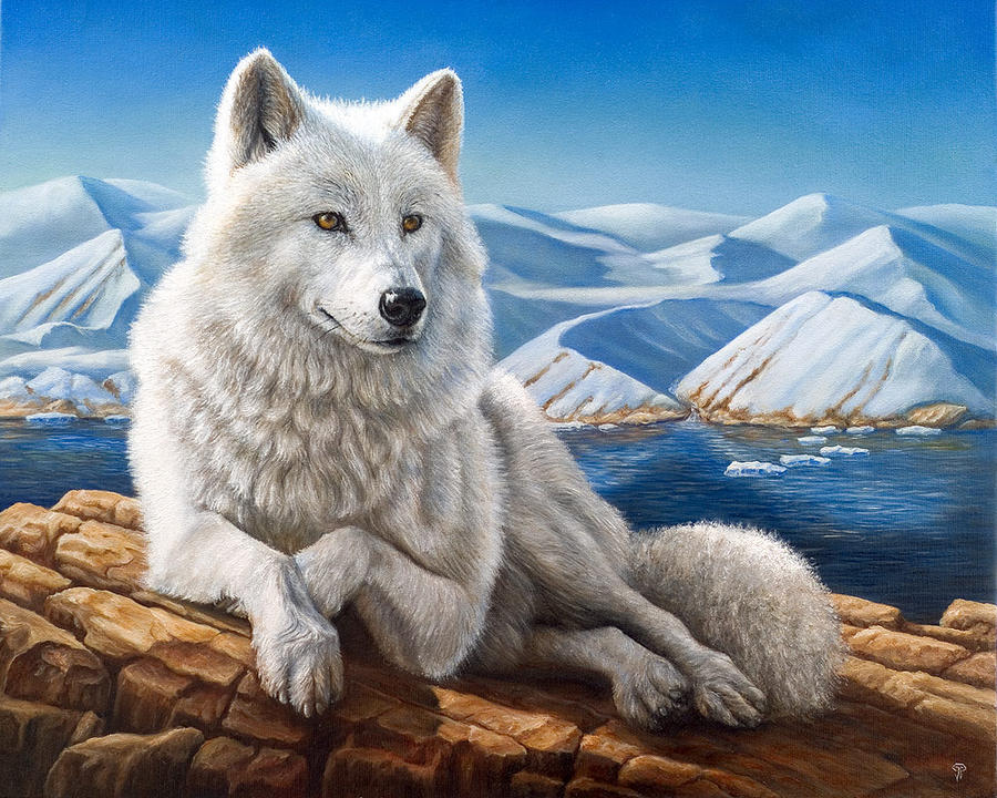 Arctic Spring by dimwolf Arctic Spring by dimwolf