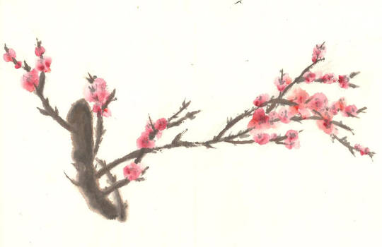 plum blossoms