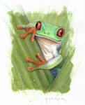 Red-eyed tree frog by LukasMaurer