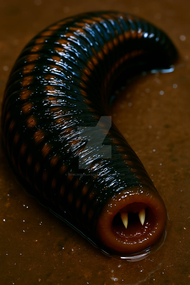 Maw Inception The Maw That Smiles by HowlingNinjaWolf on DeviantArt