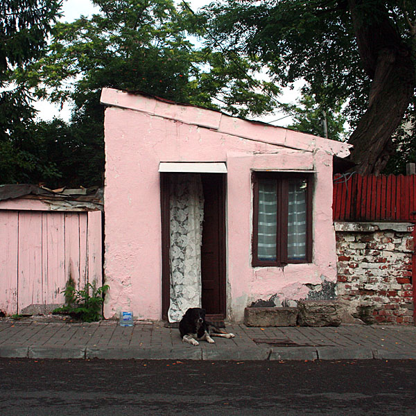 Pink house